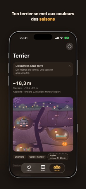 Onglet Terrier aux couleurs d’Halloween